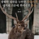 금산홍삼랜드