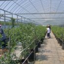 효광농장 이미지