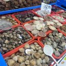 22번수산 이미지