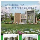 포레스트 빌리지 이미지