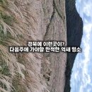 암곡 | 경주 무장산 억새 등산코스 주차장 경북 억새 명소 실시간
