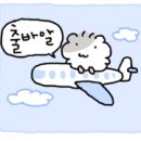 (주)천부 | 아이와 울릉도 여행 천부해중전망대 비오는 날 울릉도 실내 가볼만한곳