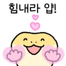 파충류샵 스마일게코 이미지