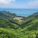 바둑여객 이미지