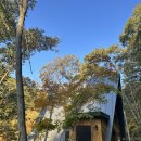 힐링(만인산) | 만인산 세모집 예약방법 - 신갈나무 1박2일 후기