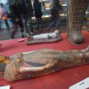 김성수 행정사 사무소 이미지