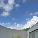 스테이 수림 이미지