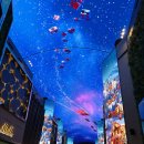 일로-15 | [돌싱 매칭] 비커플 후기 인터뷰 15