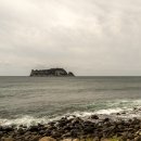 제주 올레길 7코스 이미지