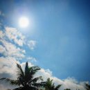 고목로1 이미지