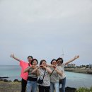 여행을부탁해;마실투어 | 제주도 택시투어 가격 후기 친구들과 다녀온 제주 택시투어 여행