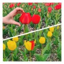 화명힐링의원 이미지