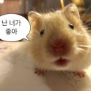 이장푸드 네이버블로그
