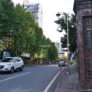 강남-153 이미지