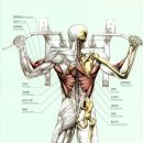 고짐(GO GYM) 이미지