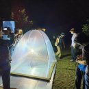 매미와 함께하는 여름여행 이미지