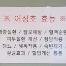 차당구클럽 이미지
