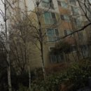 봉솔로 이미지