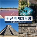 하하투어 - 수영구 수영로 411 | 칸쿤 신혼여행 핑세치투어 내돈내산 후기/꿀팁 (마이리얼트립 하하투어, 핑크라군/세노떼 동굴수영...