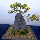 제13회 정기전시회 이미지