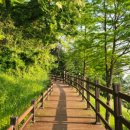 화양근린공원 입구 이미지