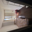 🏢 [렌트] Bay &amp; Wellesley 독립된 문과 창문이 있는 Den 룸메이트 구합니다! 이미지