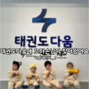 다움태권도장 이미지