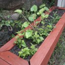 예진꽃화원 이미지