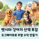 도그비잉 펫케어 | 동물 좋아하면 펫시터 자격증 취득 후 도그메이트 강아지 산책으로 주말 투잡하기