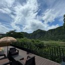 강아지풀애견펜션 | 단양 애견 펜션, 강아지풀 펜션!! 댕댕이 동반 가능한 숙소 이용 후기