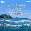 [장사마을]오징어해부체험 네이버블로그