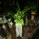 상아초등학교 이미지