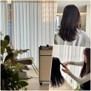 이은주헤어샵 | 강남 미용실 추천 압구정 로데오거리 유밍 커트 미디움 보더컷 잘하는곳 찾는다면