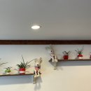 나드리김밥신대부적점 이미지