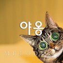 서강껍데기 성신여대점 이미지