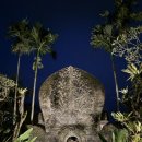 더정글 | 발리 우붓 숙소 추천｜더 카욘 정글 리조트 신혼여행 후기