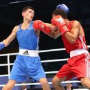 에밋 복싱 이미지