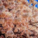 워싱턴모텔 이미지