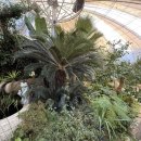 바다정원 | 군산선유도카페 장자도카페 [장자바다정원카페] 솔직 후기