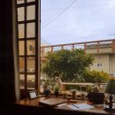 안경볼래 이미지