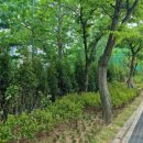 토월초등학교 이미지