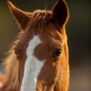 현자농장 이미지