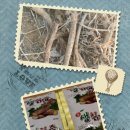 호미건강원 | 칡뿌리 체험 학습