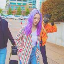 보라미미