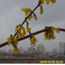 청일중기 이미지