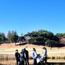 백송 - 중구 다산로33다길 45 | 백송