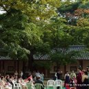 유림주단 이미지