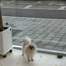 쭌이하우스 이미지