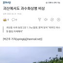 괴산에서도 과수화상병 비상 이미지