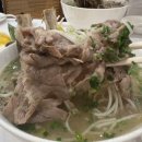 포레스트오늘;숲세종